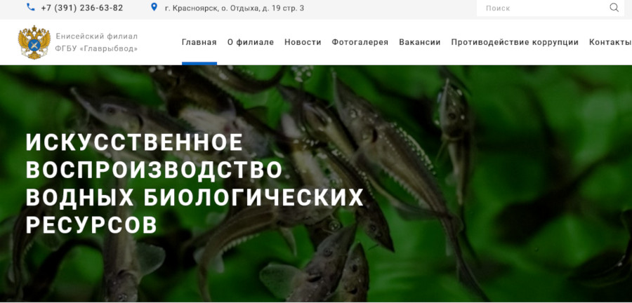 Поддержка сайта 